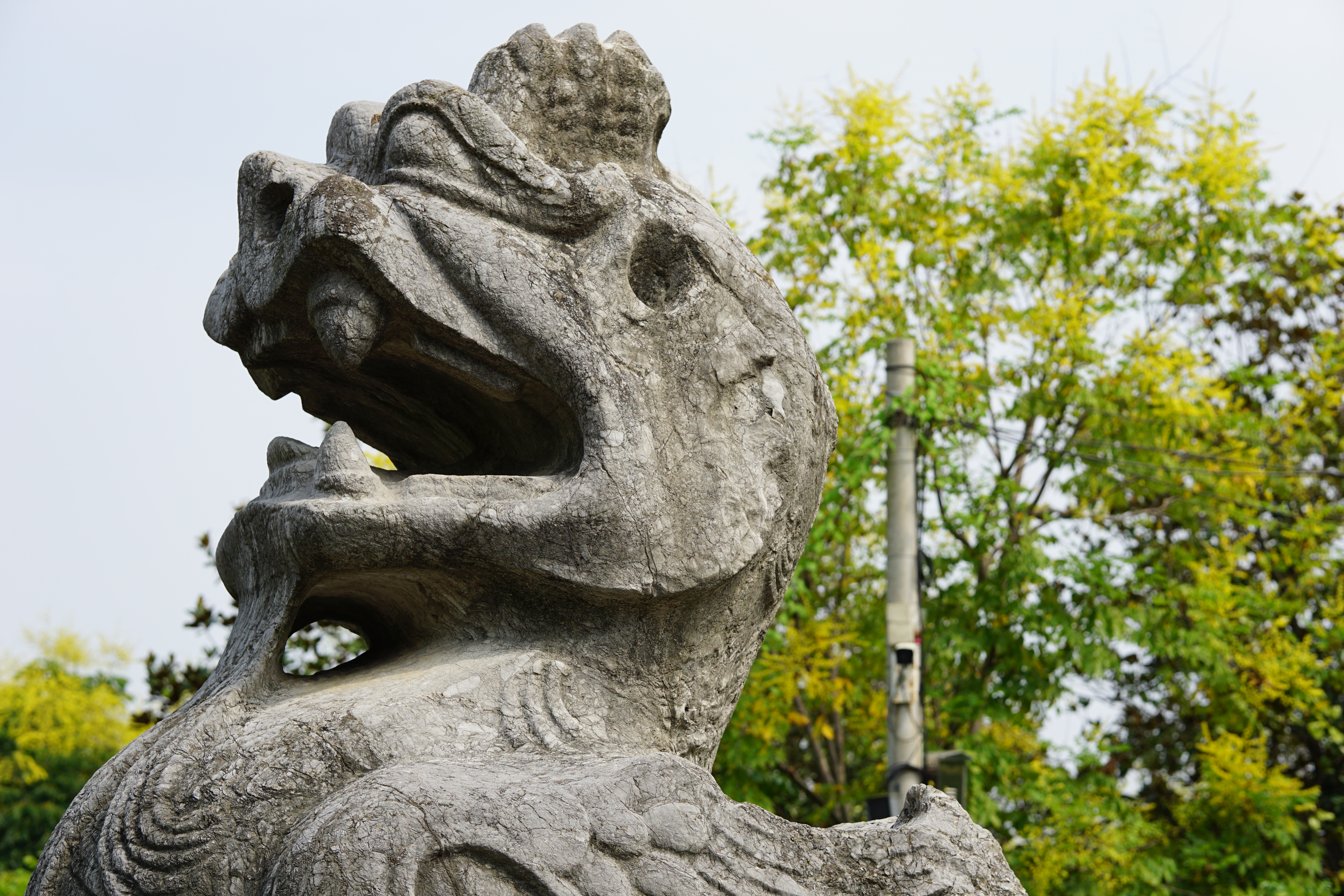  丹阳观南朝石刻，顺便配副眼镜 doge，奈何历史如流水，旧时王侯陵，荒芜田地里。